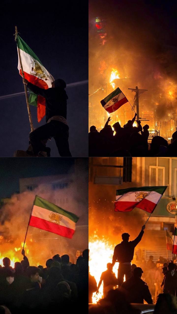 Four-image montage of protesters carrying Lion and Sun flags amid fires